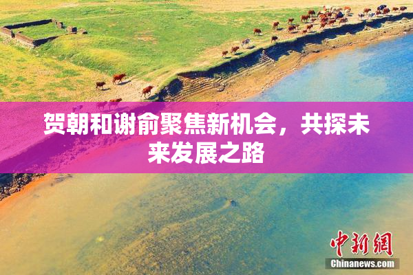 贺朝和谢俞聚焦新机会，共探未来发展之路