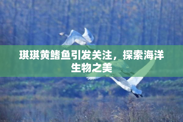 琪琪黄鳍鱼引发关注，探索海洋生物之美