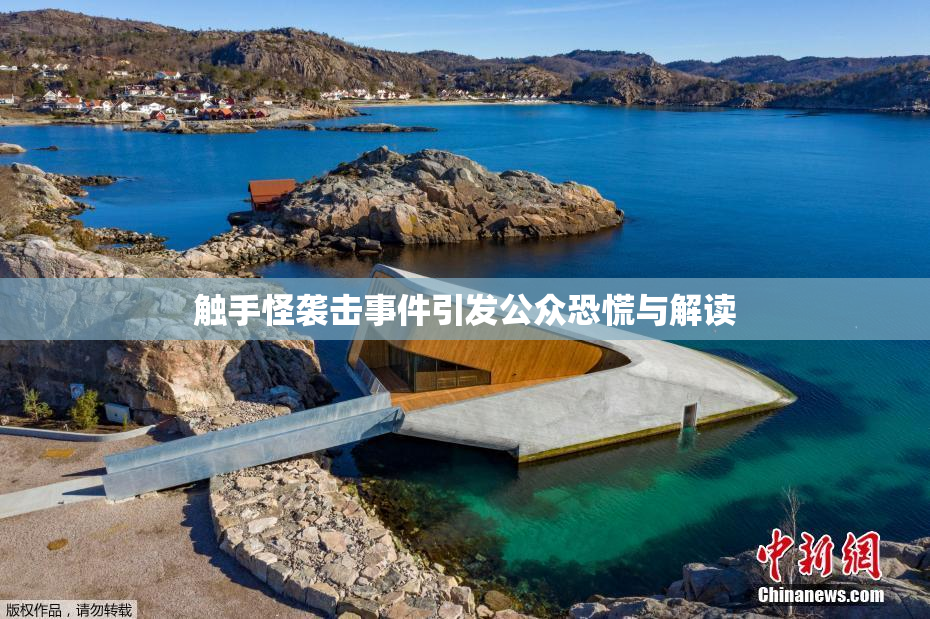 触手怪袭击事件引发公众恐慌与解读