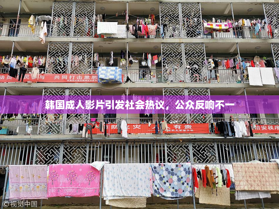 韩国成人影片引发社会热议，公众反响不一