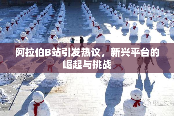 阿拉伯B站引发热议，新兴平台的崛起与挑战