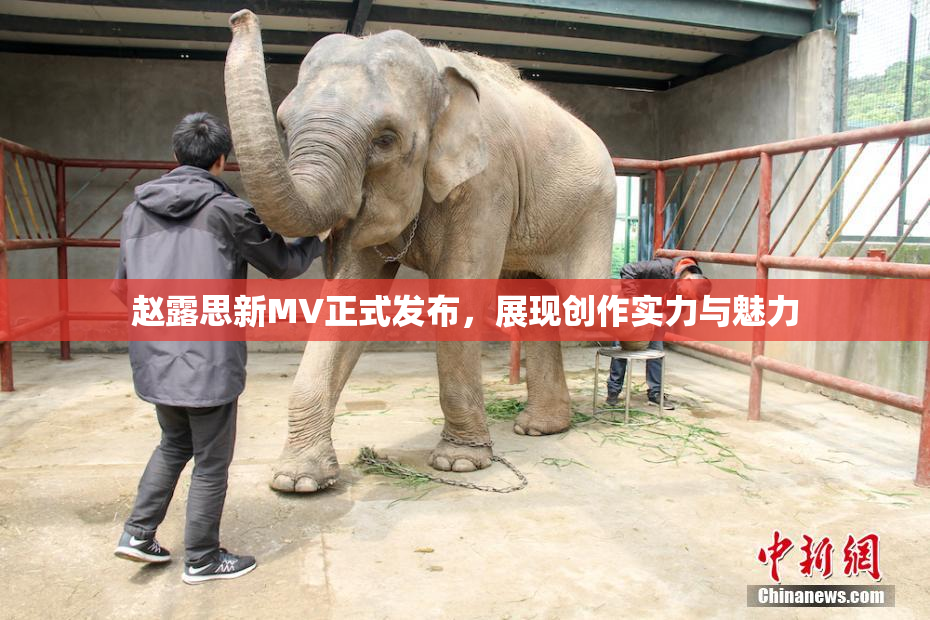 赵露思新MV正式发布，展现创作实力与魅力
