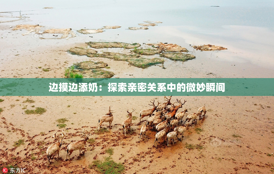 边摸边添奶：探索亲密关系中的微妙瞬间