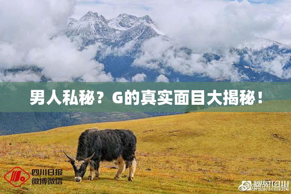 男人私秘？G的真实面目大揭秘！