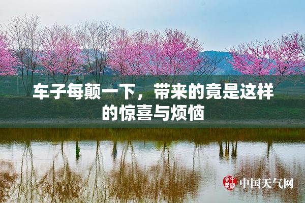 车子每颠一下，带来的竟是这样的惊喜与烦恼