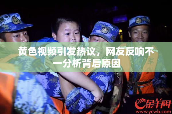黄色视频引发热议，网友反响不一分析背后原因