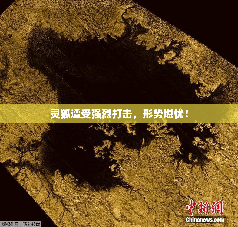 灵狐遭受强烈打击，形势堪忧！