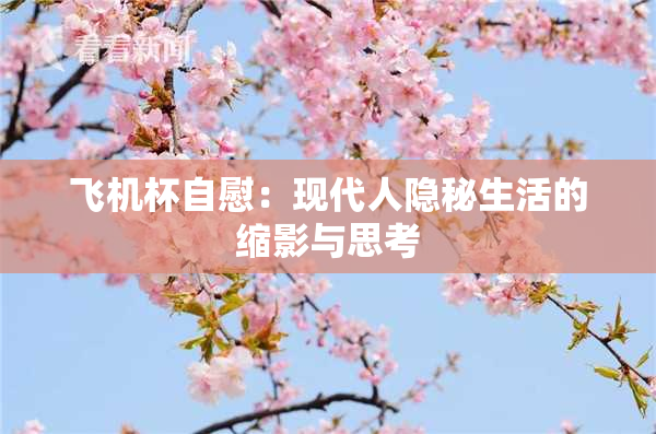 飞机杯自慰：现代人隐秘生活的缩影与思考