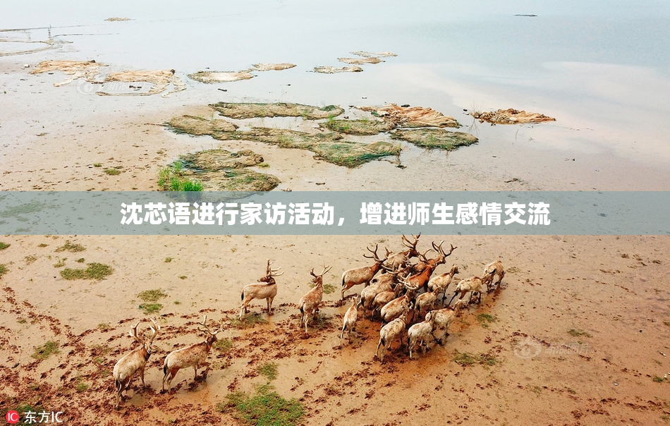 沈芯语进行家访活动，增进师生感情交流