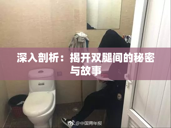 深入剖析：揭开双腿间的秘密与故事