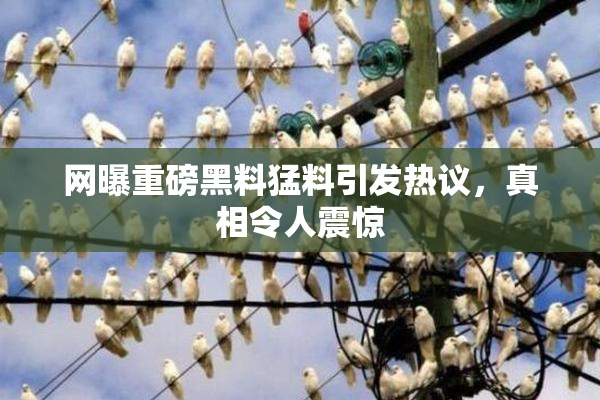 网曝重磅黑料猛料引发热议，真相令人震惊