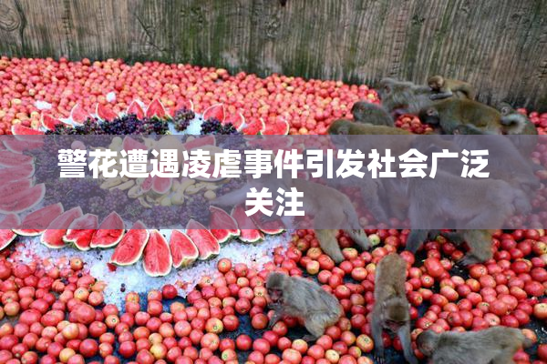 警花遭遇凌虐事件引发社会广泛关注