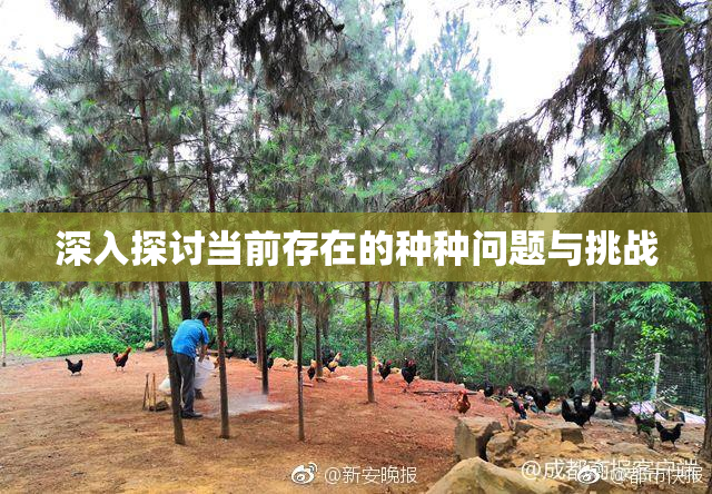 深入探讨当前存在的种种问题与挑战