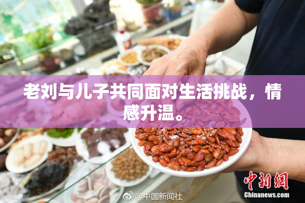 老刘与儿子共同面对生活挑战，情感升温。