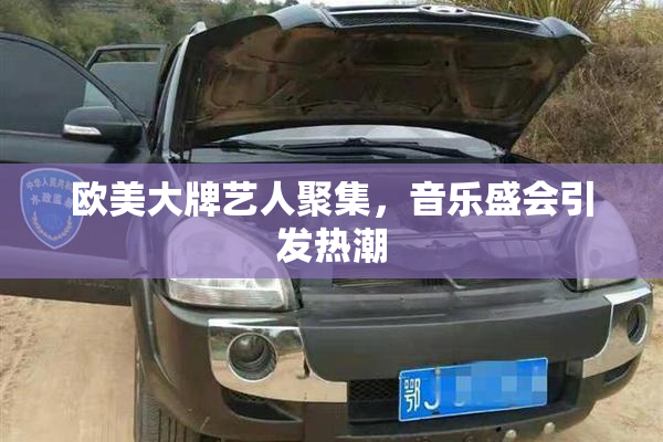 欧美大牌艺人聚集，音乐盛会引发热潮