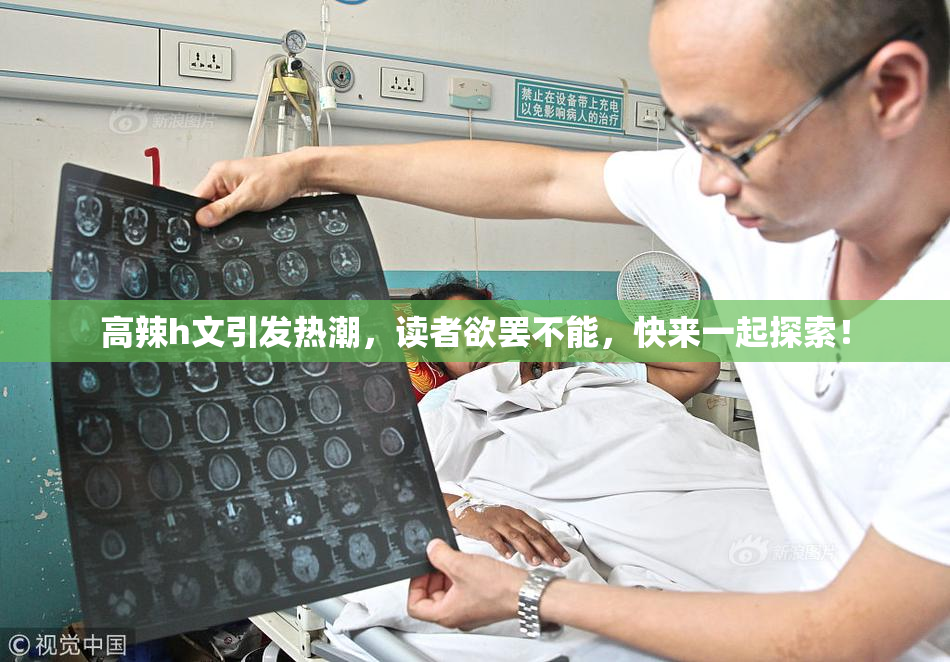 高辣h文引发热潮，读者欲罢不能，快来一起探索！