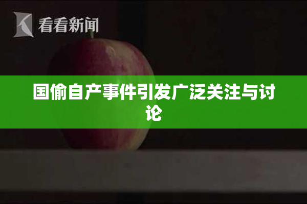 国偷自产事件引发广泛关注与讨论