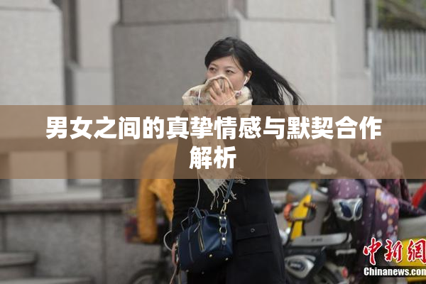 男女之间的真挚情感与默契合作解析