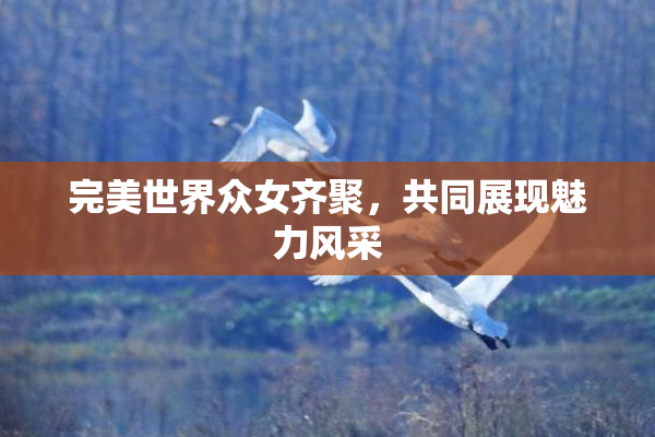 完美世界众女齐聚，共同展现魅力风采