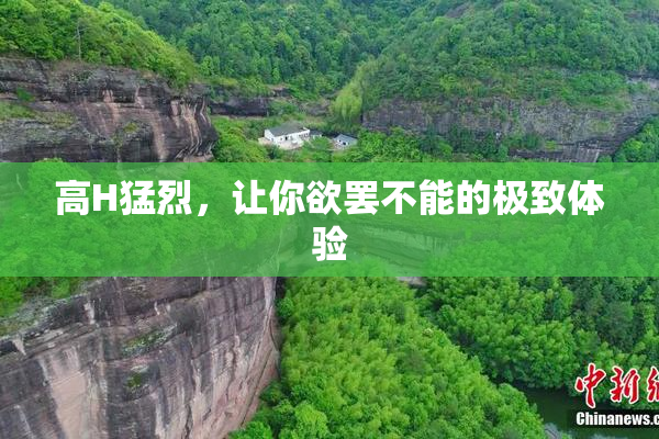 高H猛烈，让你欲罢不能的极致体验