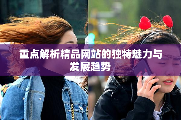 重点解析精品网站的独特魅力与发展趋势