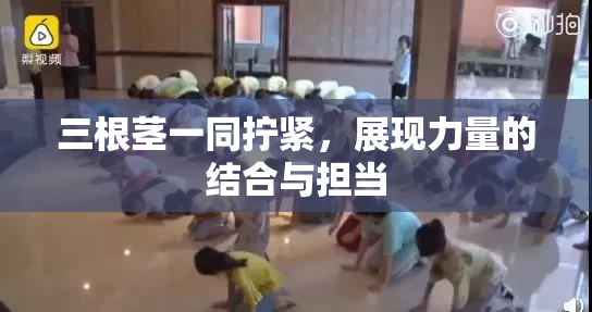 三根茎一同拧紧，展现力量的结合与担当