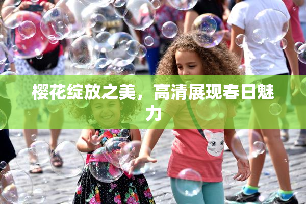 樱花绽放之美，高清展现春日魅力
