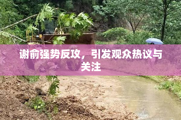 谢俞强势反攻，引发观众热议与关注