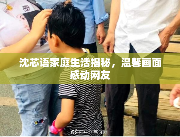 沈芯语家庭生活揭秘，温馨画面感动网友