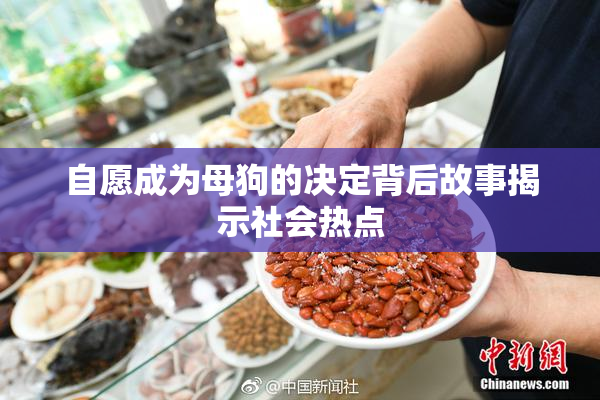 自愿成为母狗的决定背后故事揭示社会热点