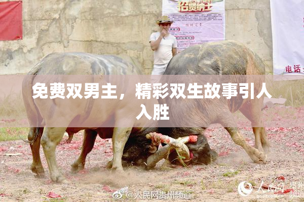 免费双男主，精彩双生故事引人入胜