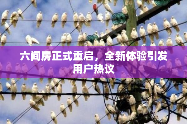 六间房正式重启，全新体验引发用户热议