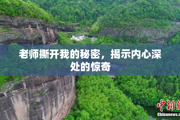 老师撕开我的秘密，揭示内心深处的惊奇
