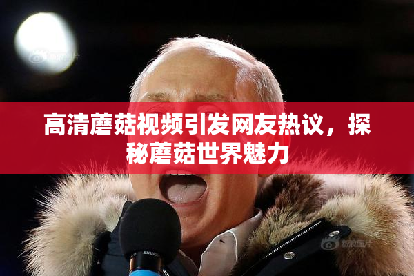 高清蘑菇视频引发网友热议，探秘蘑菇世界魅力
