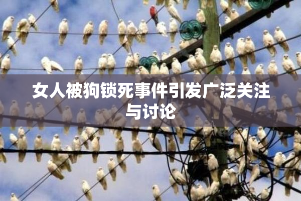 女人被狗锁死事件引发广泛关注与讨论