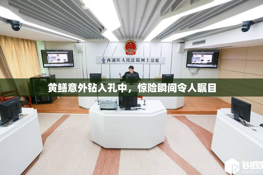 黄鳝意外钻入孔中，惊险瞬间令人瞩目