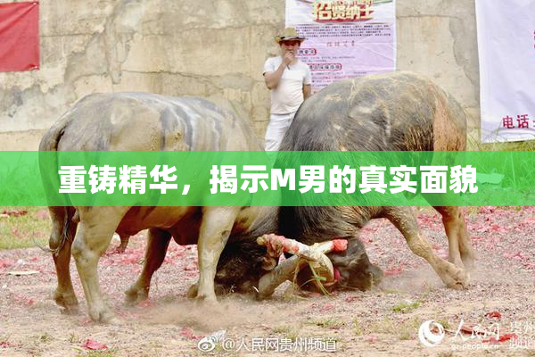 重铸精华，揭示M男的真实面貌