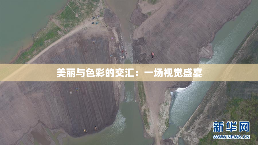 美丽与色彩的交汇：一场视觉盛宴
