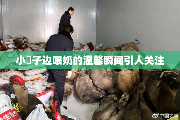 小峓子边喂奶的温馨瞬间引人关注
