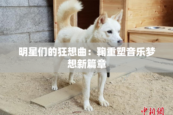 明星们的狂想曲：鞠重塑音乐梦想新篇章