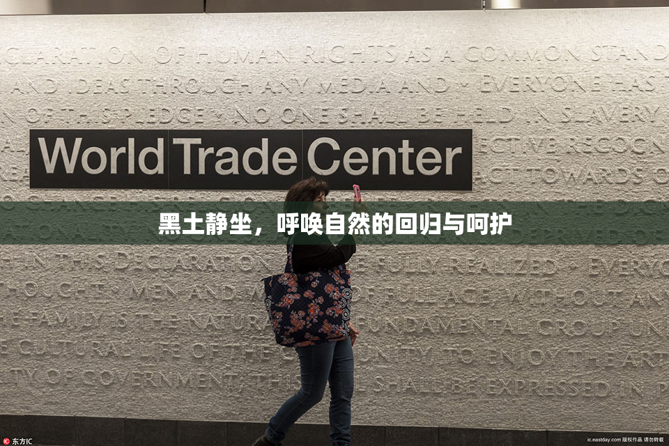 黑土静坐，呼唤自然的回归与呵护