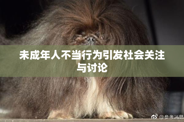 未成年人不当行为引发社会关注与讨论