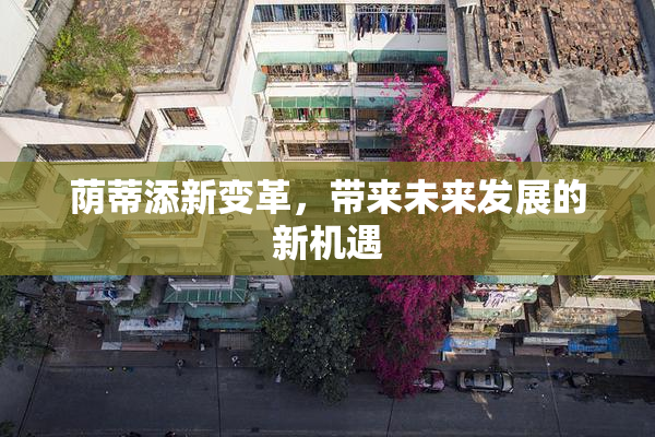 荫蒂添新变革，带来未来发展的新机遇