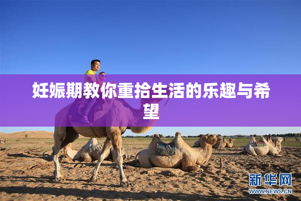 妊娠期教你重拾生活的乐趣与希望