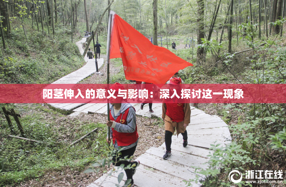 阳茎伸入的意义与影响：深入探讨这一现象