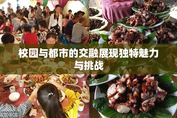 校园与都市的交融展现独特魅力与挑战