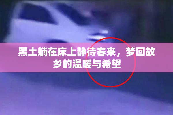 黑土躺在床上静待春来，梦回故乡的温暖与希望