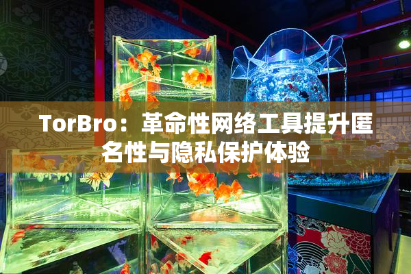 TorBro：革命性网络工具提升匿名性与隐私保护体验