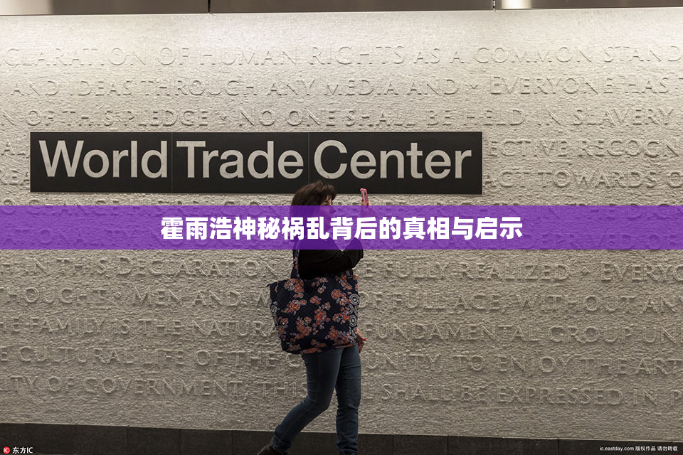霍雨浩神秘祸乱背后的真相与启示