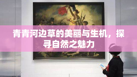 青青河边草的美丽与生机，探寻自然之魅力
